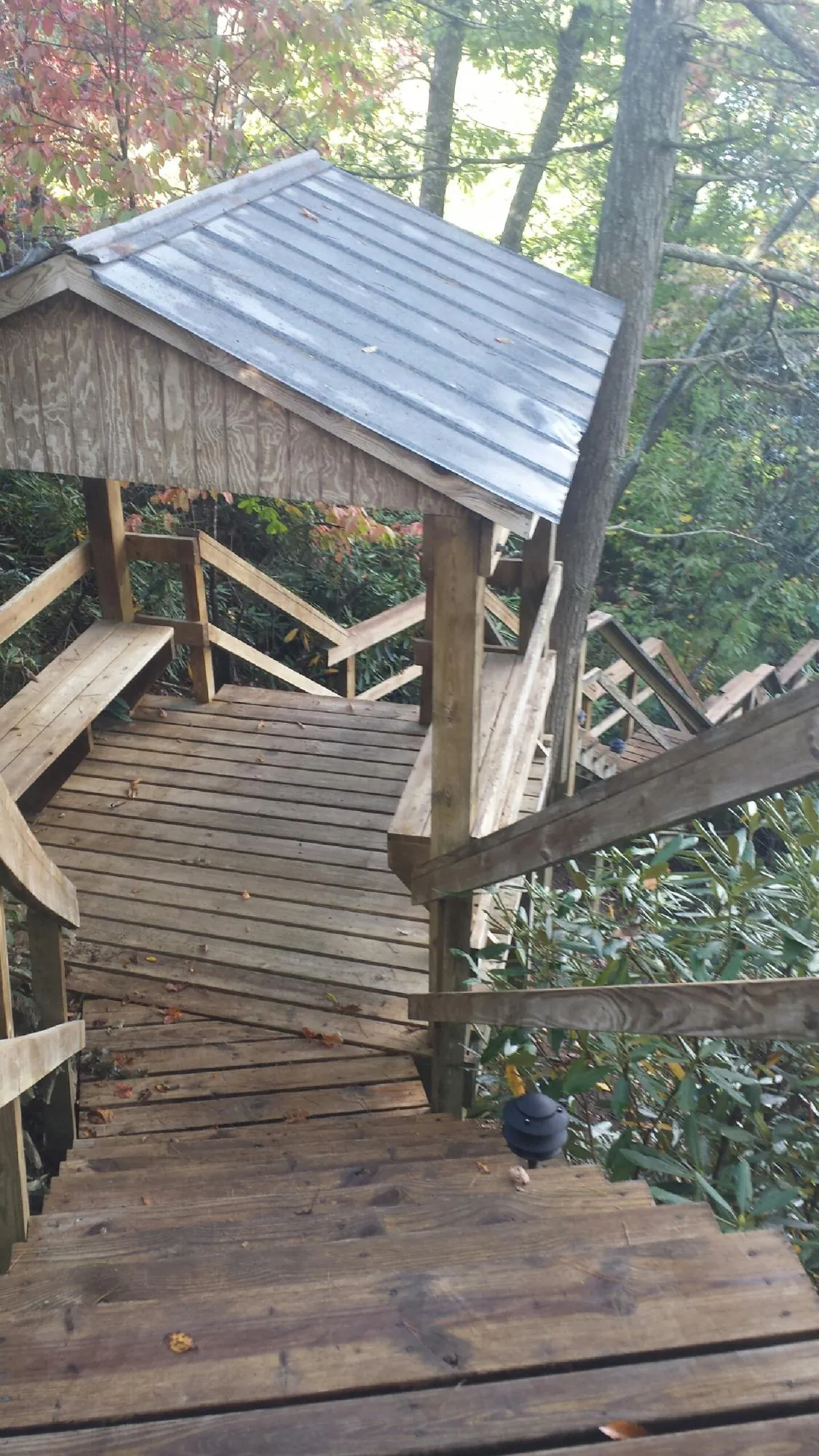 Metal roofed shelter over wooden steps on a wooded walkway — Skylight Repair & Installation work by our crew in Carnation